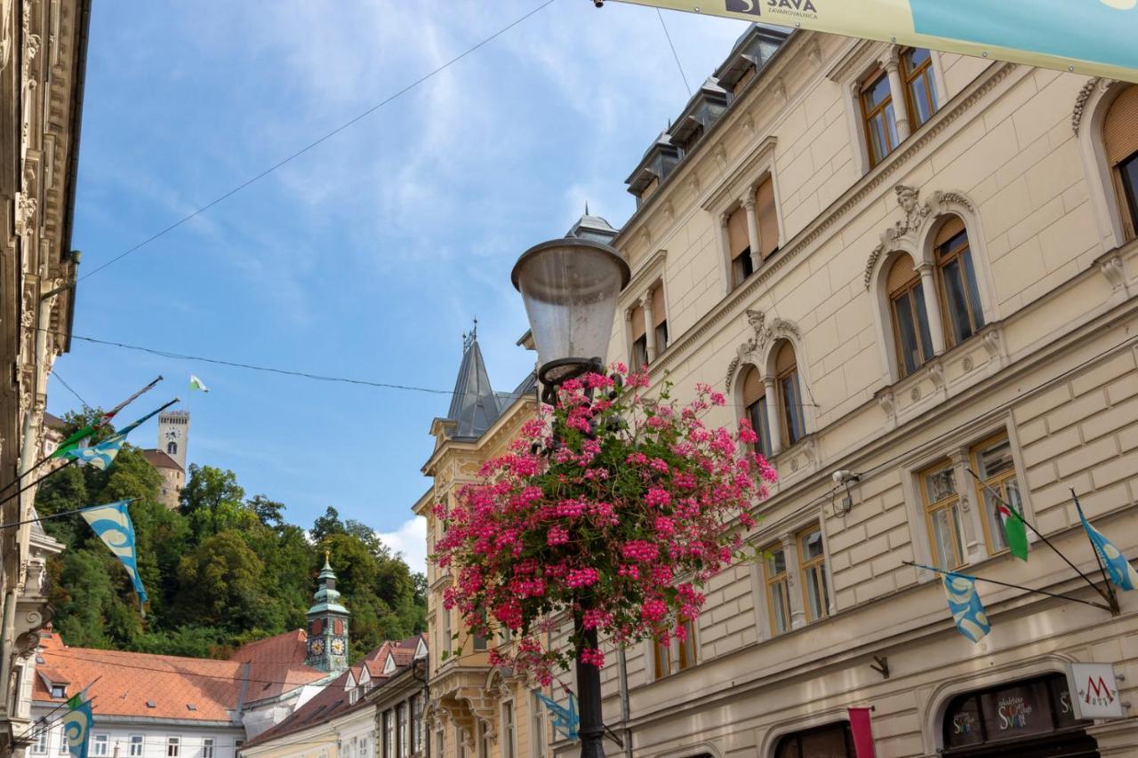 Two-bedroom Erjavceva